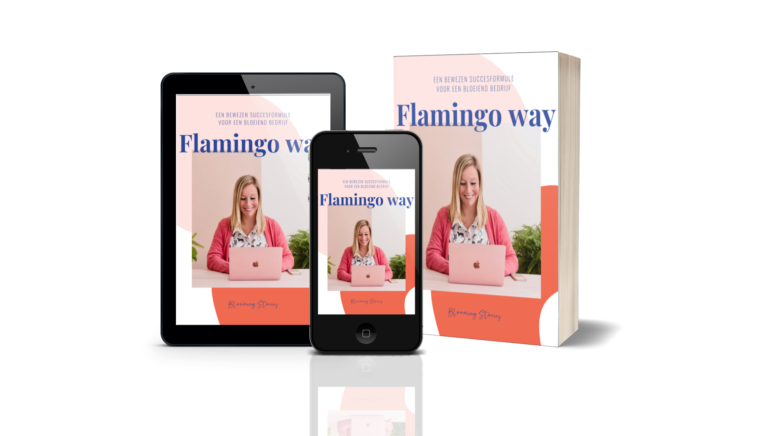 Flamingo Way Cover ebook
